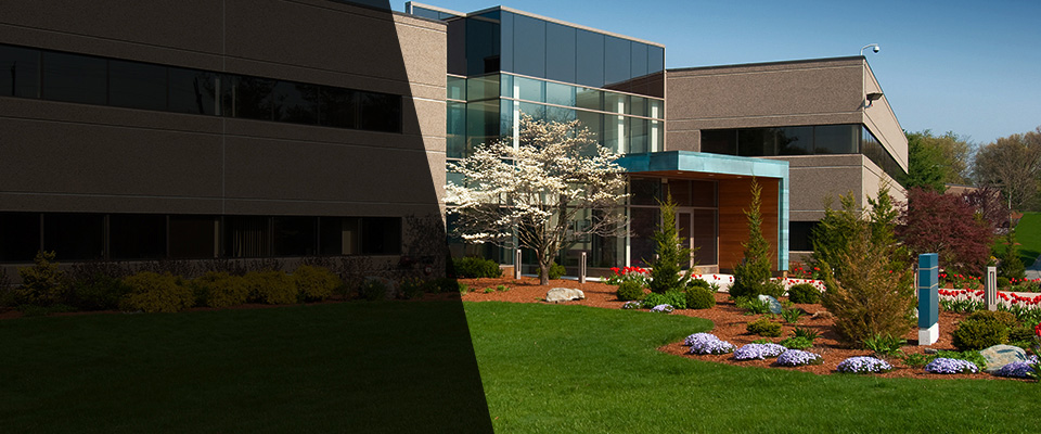 Park Hills Landscapers