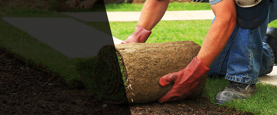 Park Hills Landscapers